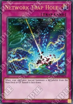 Network Trap Hole