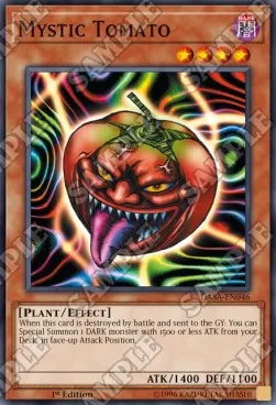 Mystic Tomato