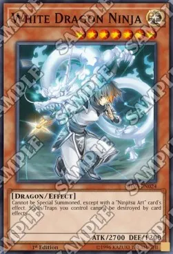 White Dragon Ninja