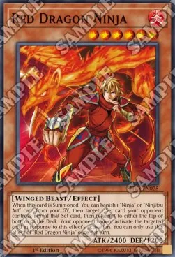 Red Dragon Ninja