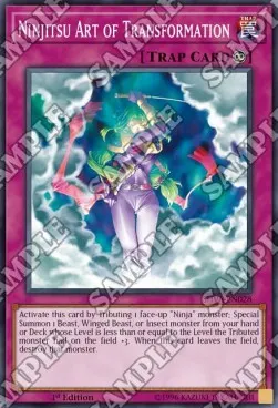 Ninjitsu Art of Transformation