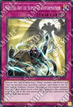 Ninjitsu Art of Super-Transformation