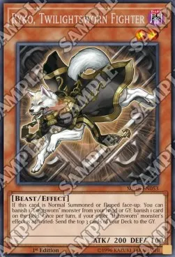 Ryko, Twilightsworn Fighter