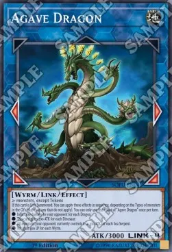Agave Dragon