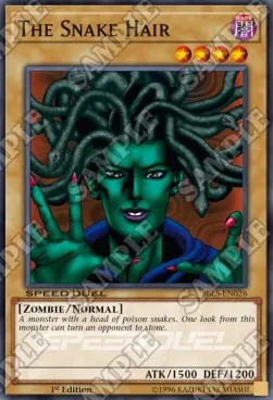 The Snake Hair