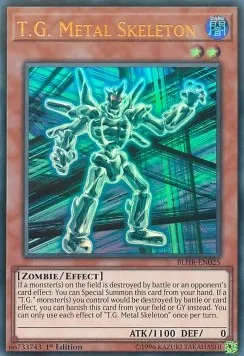 T.G. Metal Skeleton