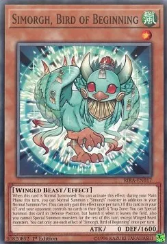 Simorgh, Bird of Beginning
