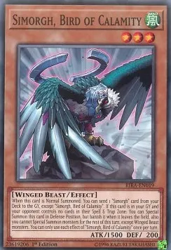 Simorgh, Bird of Calamity