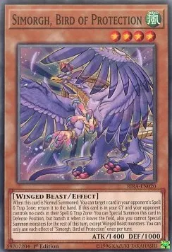 Simorgh, Bird of Protection