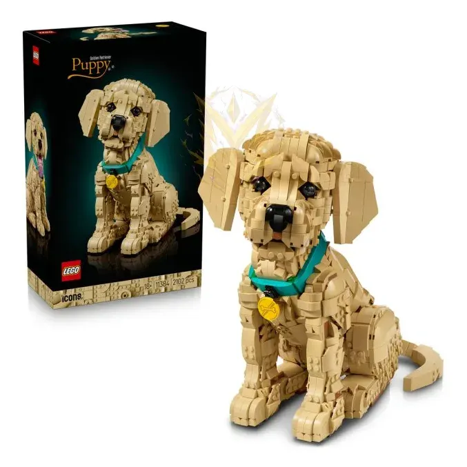 LEGO® Icons 11384 Štěně zlatého retrívra